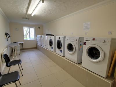 Picture 15
